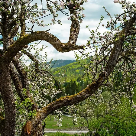Alpstuga Kamp Soblowka *