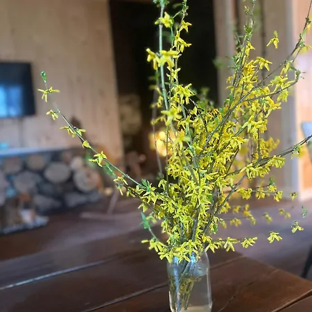Chalet Kamp Soblowka Sablówka